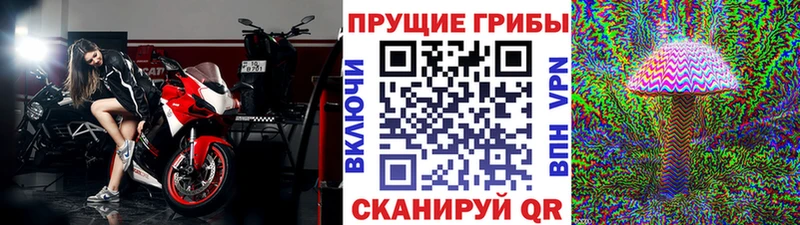 Псилоцибиновые грибы Magic Shrooms  Белово 